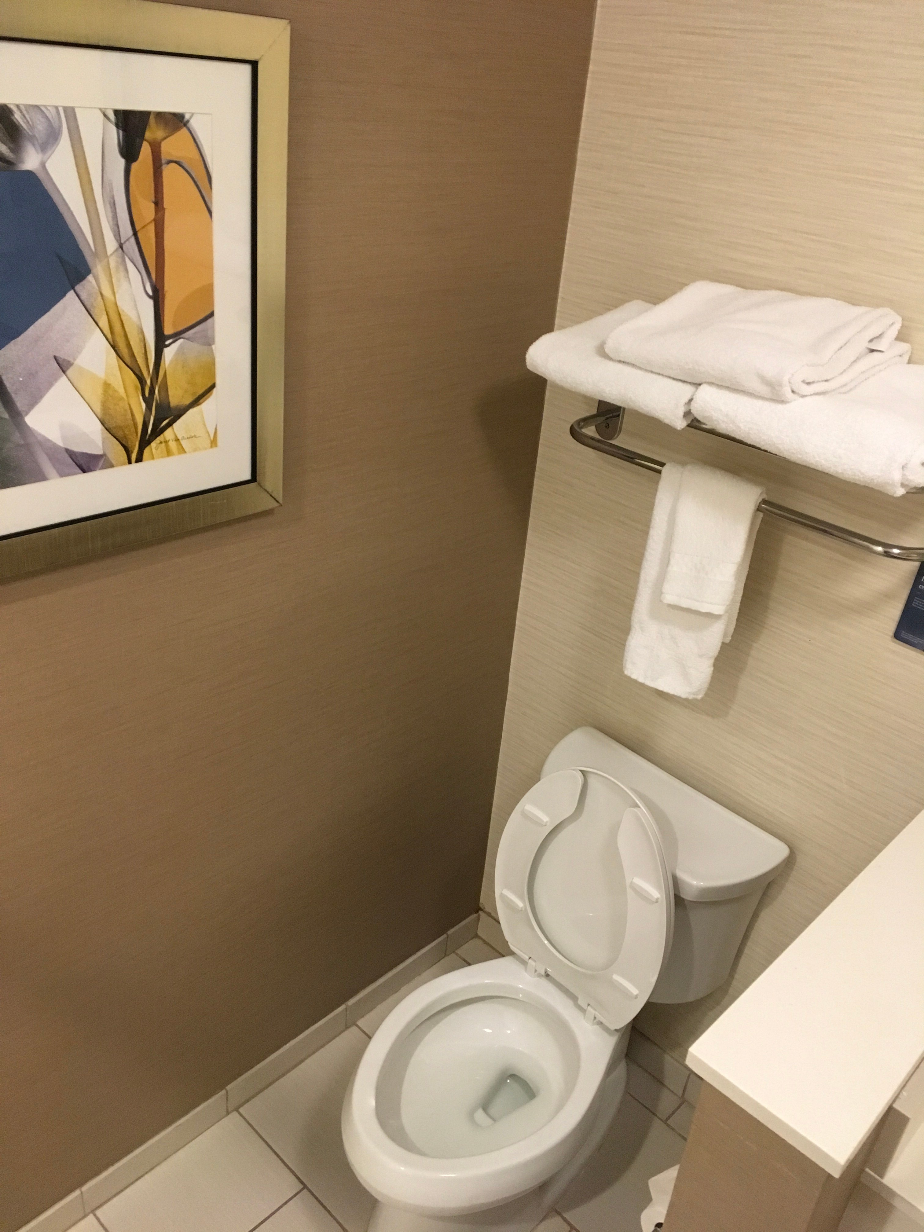 Fairfield Inn & Suites Alexandria-portrait