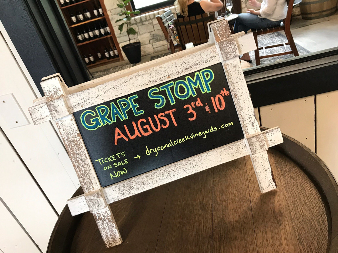 Dry Comal Creek Vineyards-新布朗费尔斯必去景点