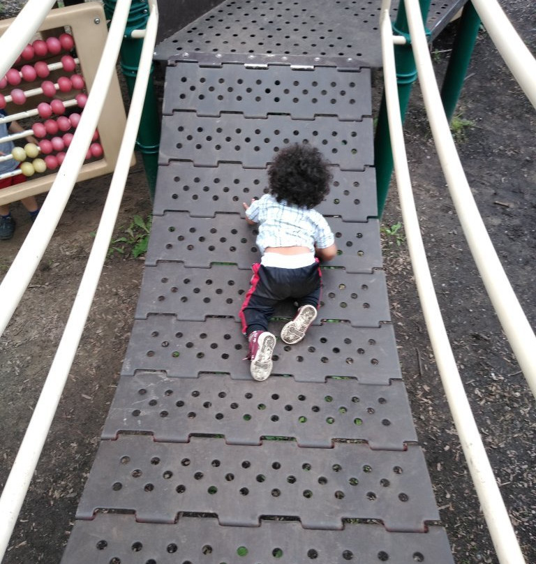 VFW Park-罗亚尔奥克必去景点