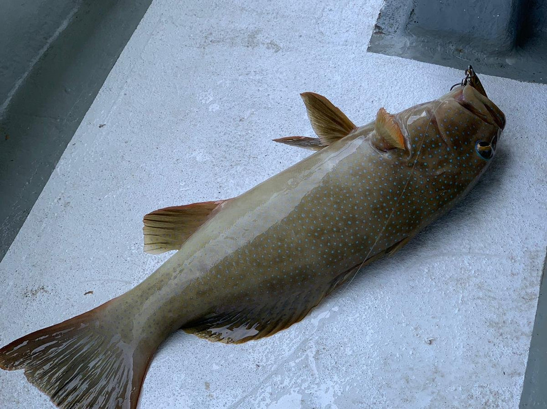 Hua Hin Game Fishing - Private Day Fishing Trips-华欣必去景点