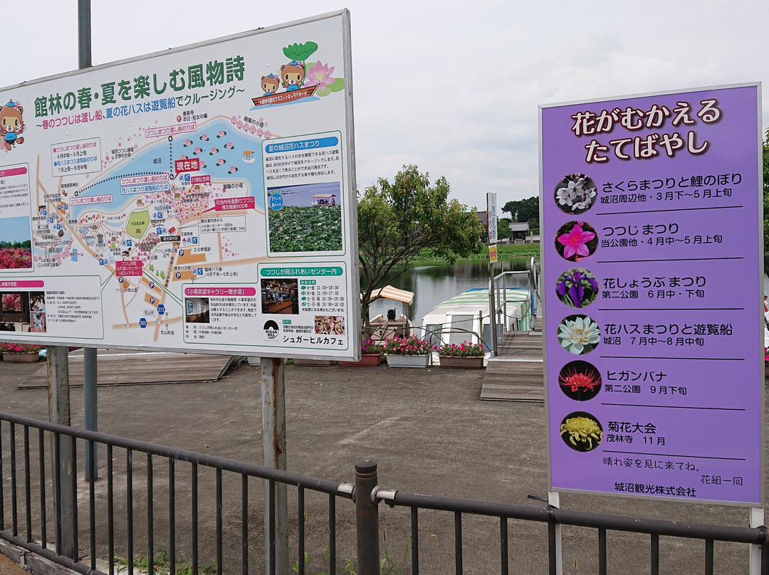 Tsutsujigaoka Park景点图片