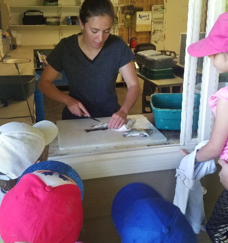 Cold Springs Trout Farm-奥格登必去景点