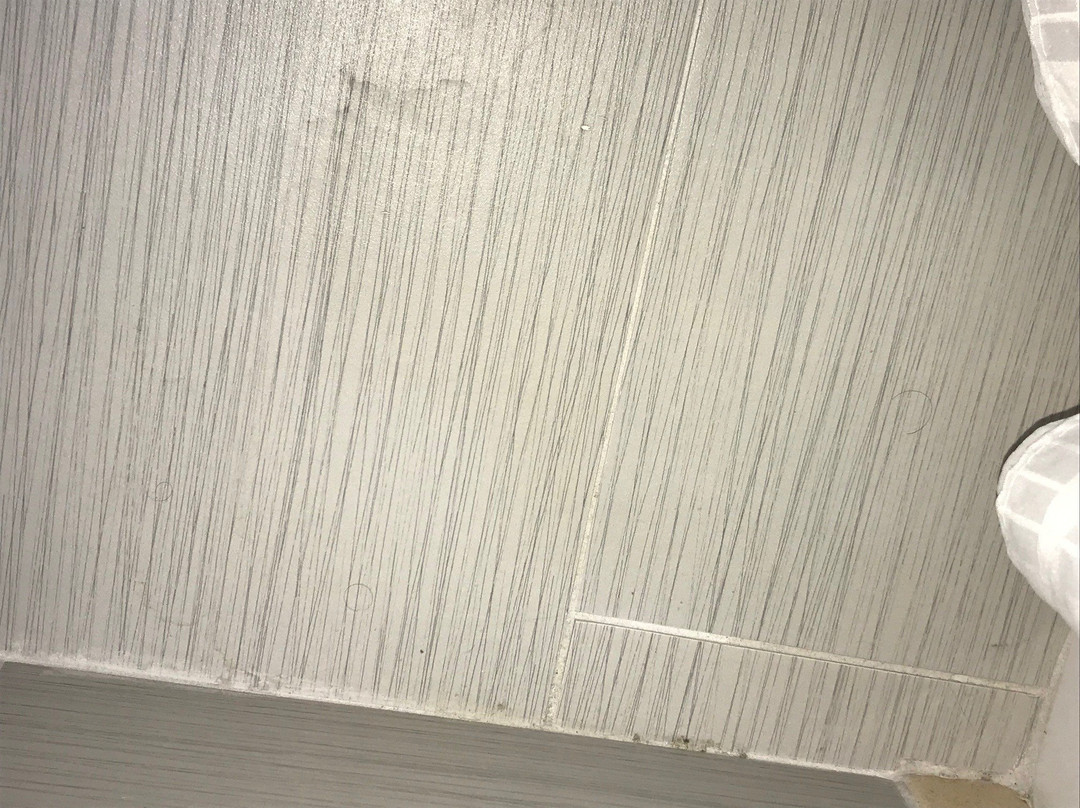 Comfort Suites Olive Branch West主图