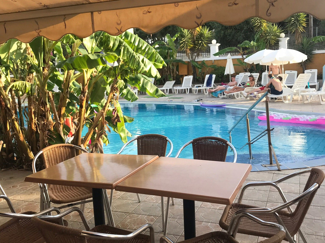 Divina Studios主图