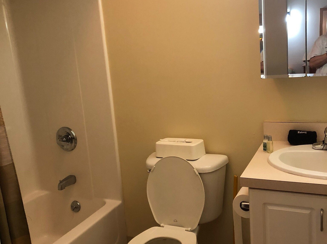 The Village Of Loon Mountain主图