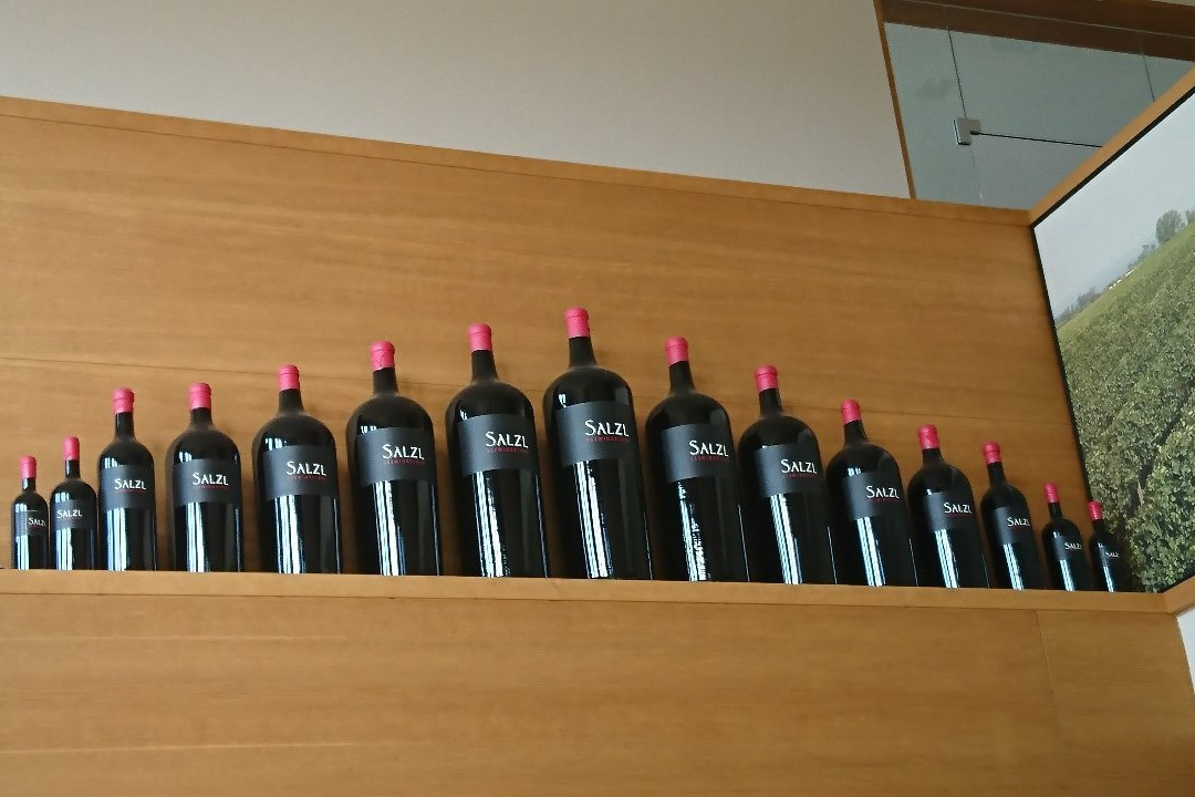 Weinlandhof Salzl景点图片
