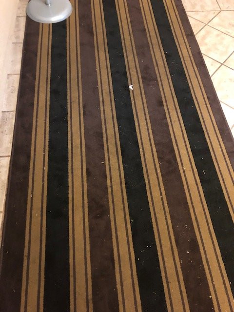 Extended Stay America - Washington, D.C. - Reston主图