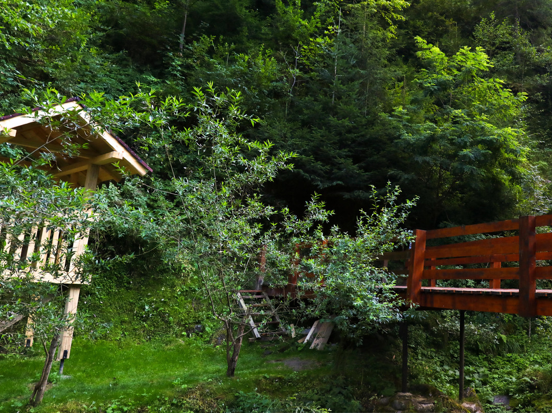Paradise Valley - Valea Paradisului Pension主图