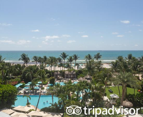 棕榈树Spa酒店主图