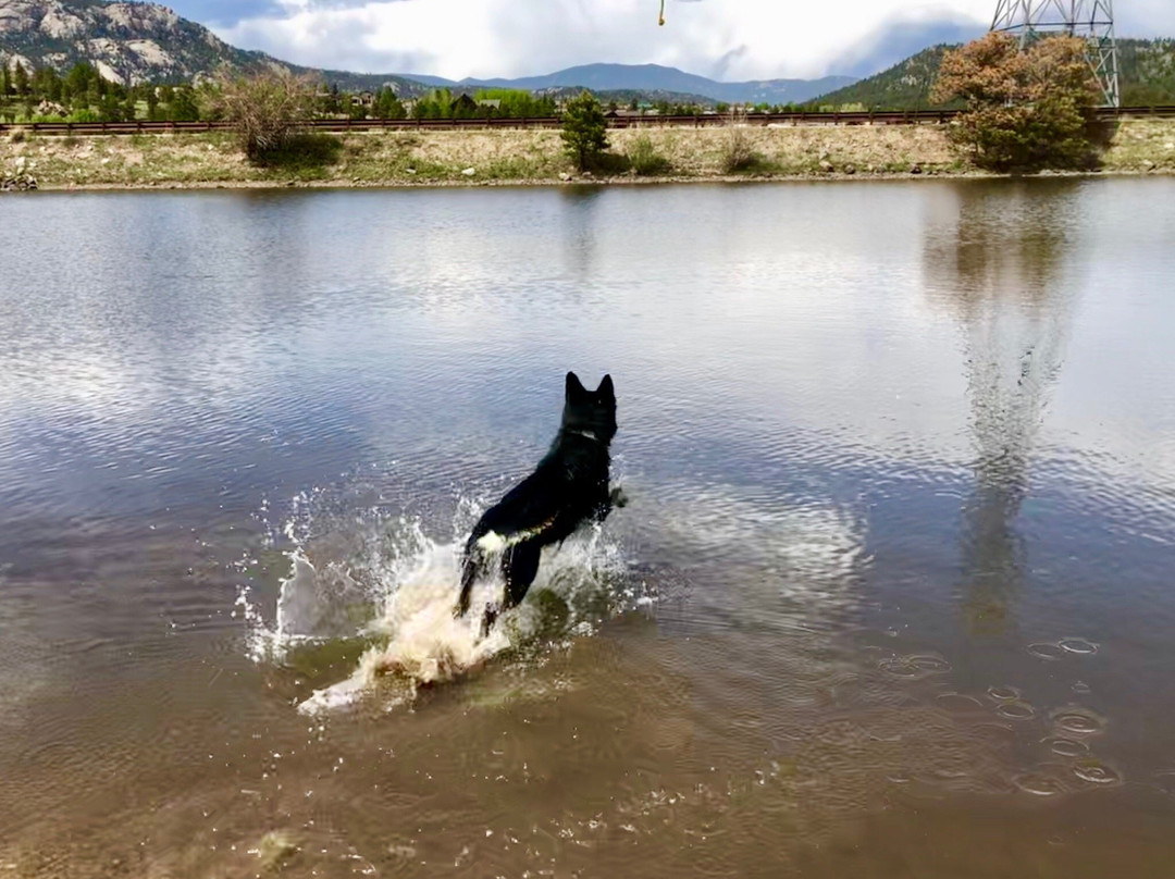 Estes Valley Dog Park-埃斯蒂斯公园必去景点