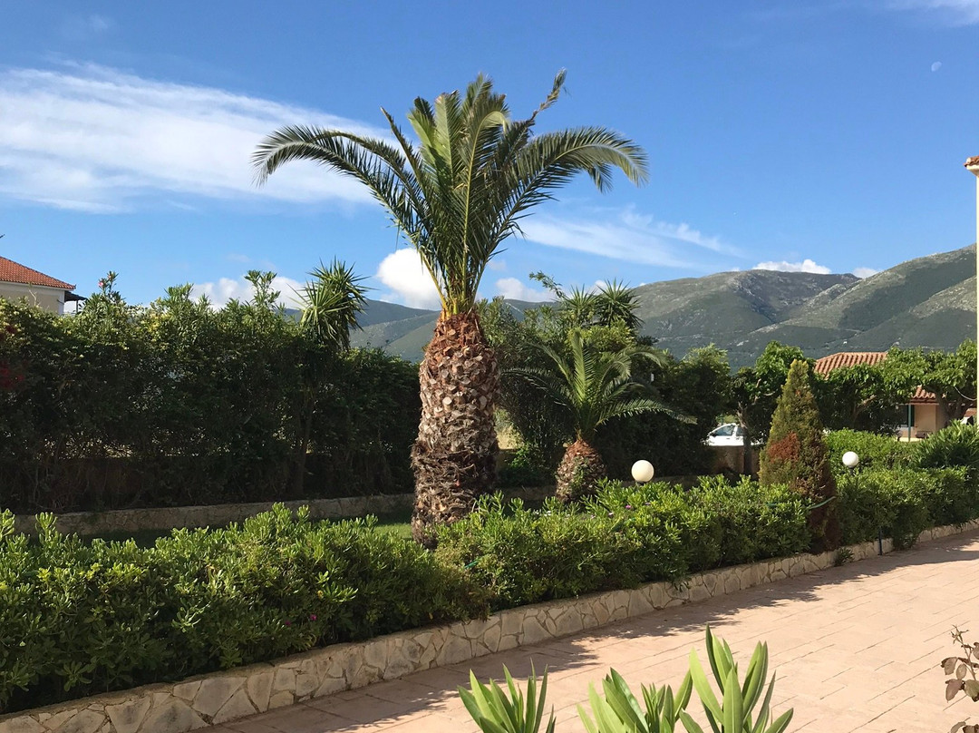 Plessas Palace Hotel主图