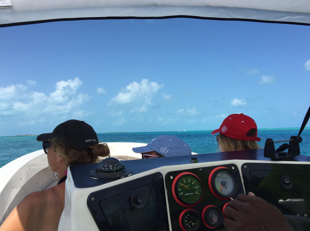 Private Airplane Swimming Pig Excursion-斯丹尼尔岛必去景点