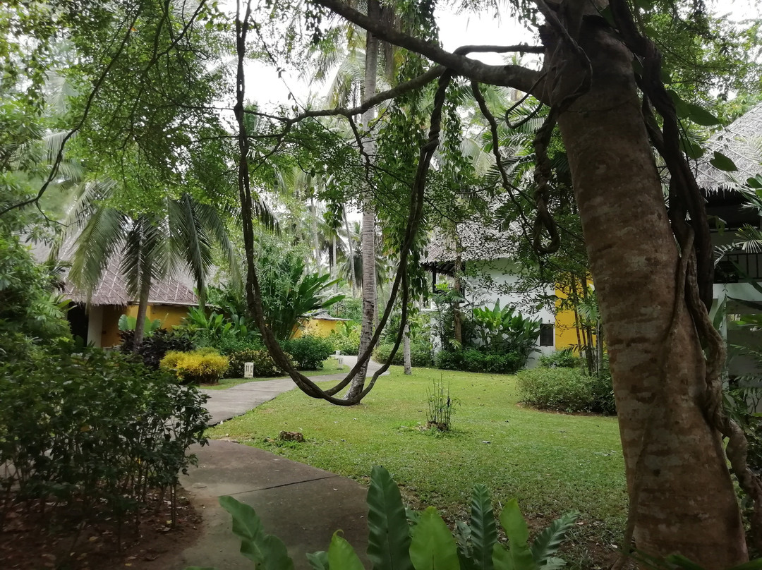 海德之子度假村主图