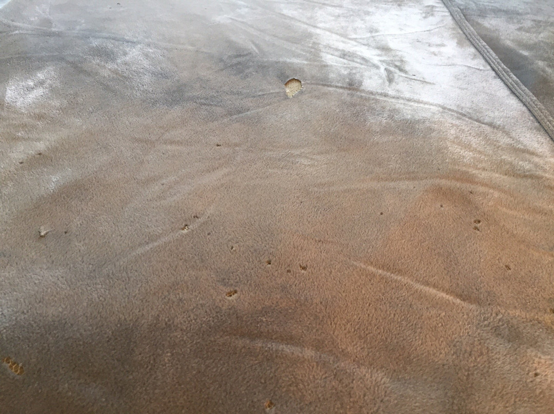 Englewood Beach and Yacht Club主图