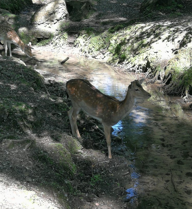 Parc de Geresmes景点图片