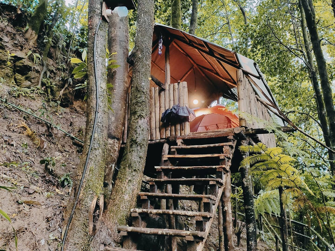 ECOPULSE