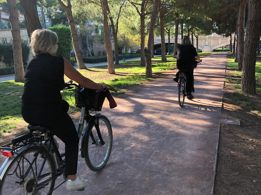 Con4Tour-巴伦西亚必去景点