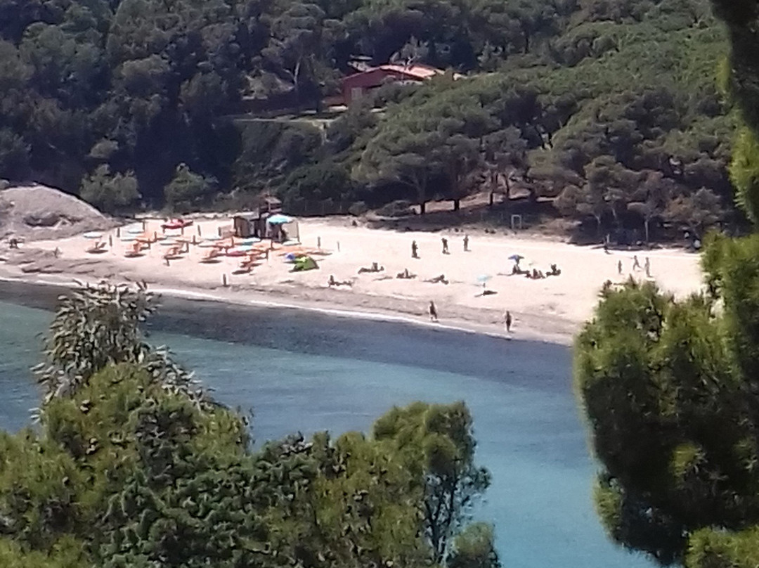 Spiaggia di Fetovaia景点图片