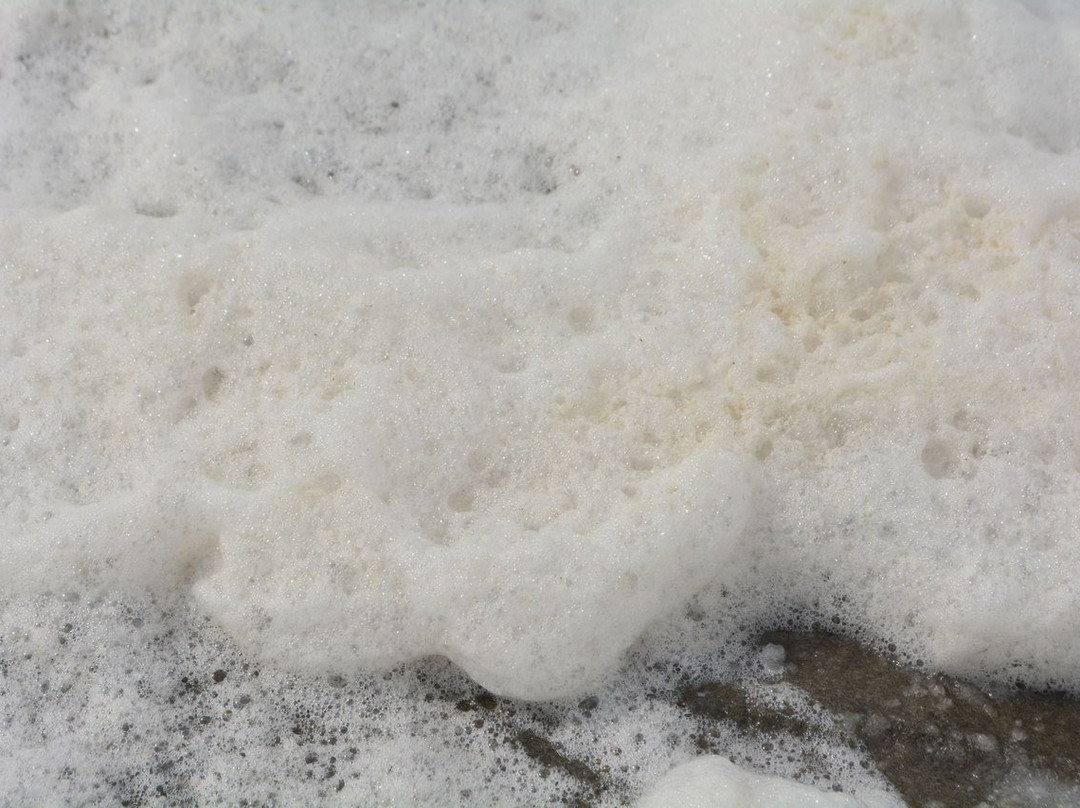 Burlinskoye Lake-Slavgorod必去景点