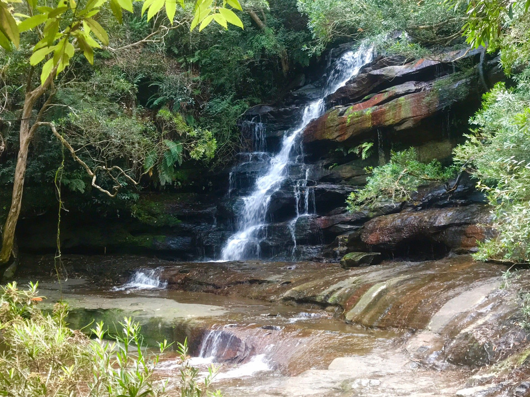 Somersby Falls Picnic Grounds景点图片