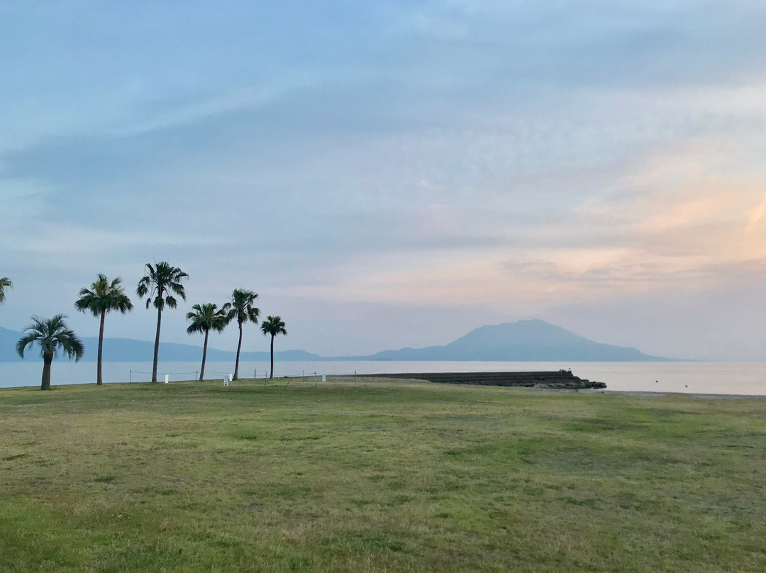 Kokubu Seaside Park景点图片