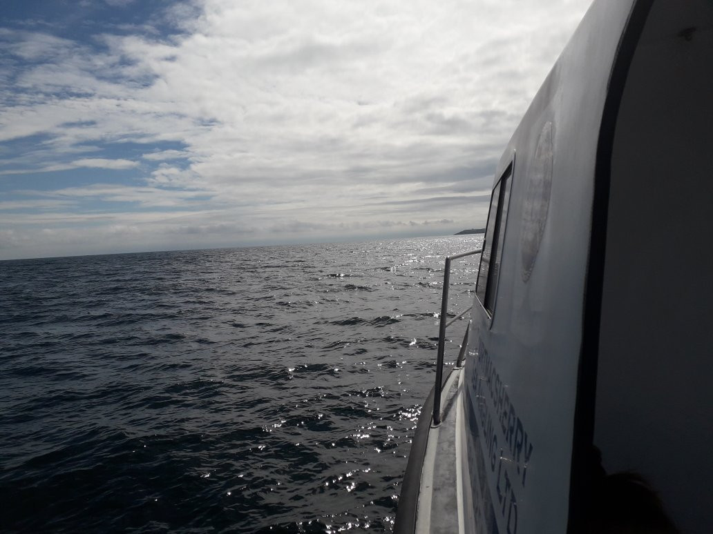 Courtmacsherry  Sea Angling Centre-Courtmacsherry必去景点