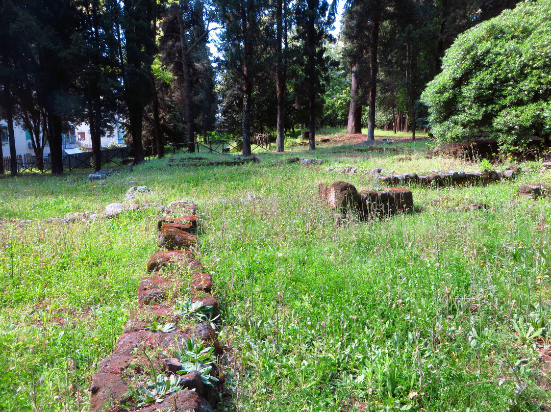 Area Archeologica di Fratte景点图片