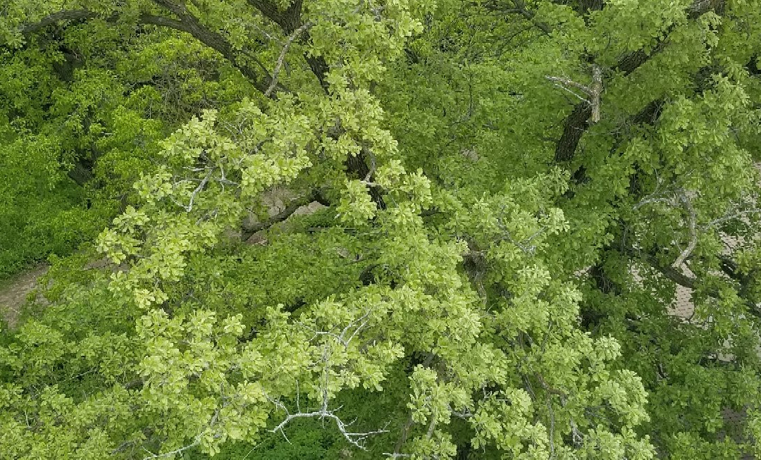 Hitchcock Nature Center-Honey Creek必去景点