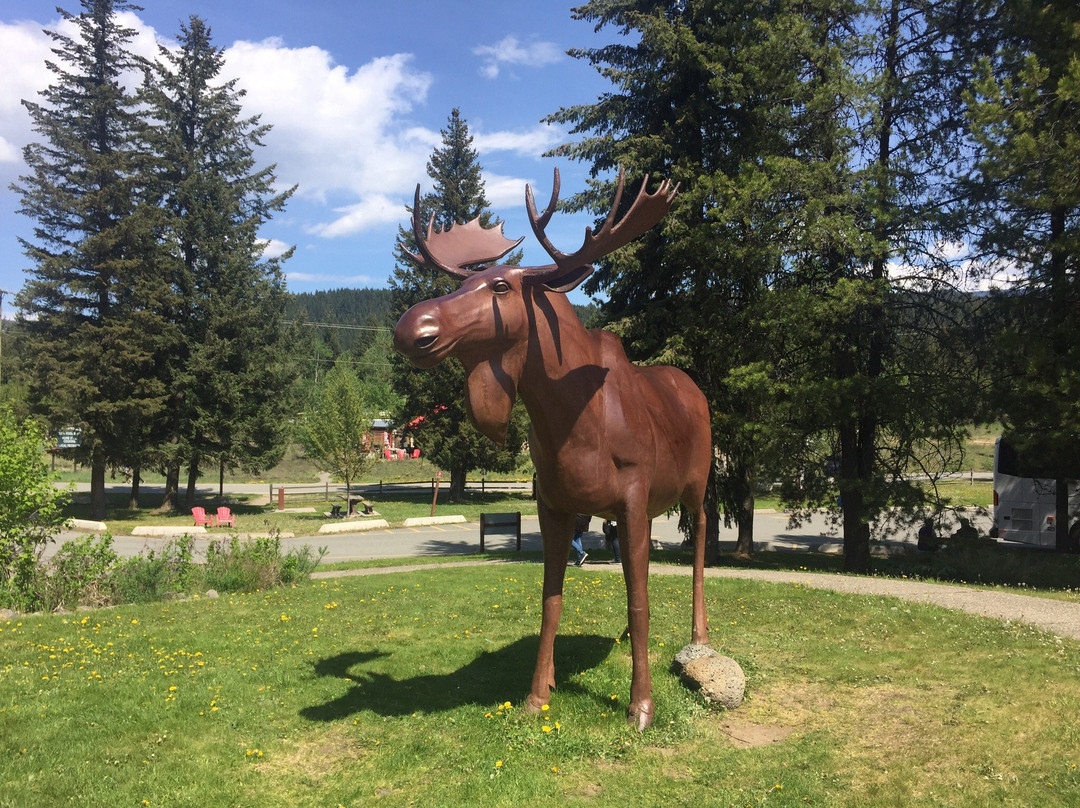 Wells Gray Visitor Information Centre景点图片
