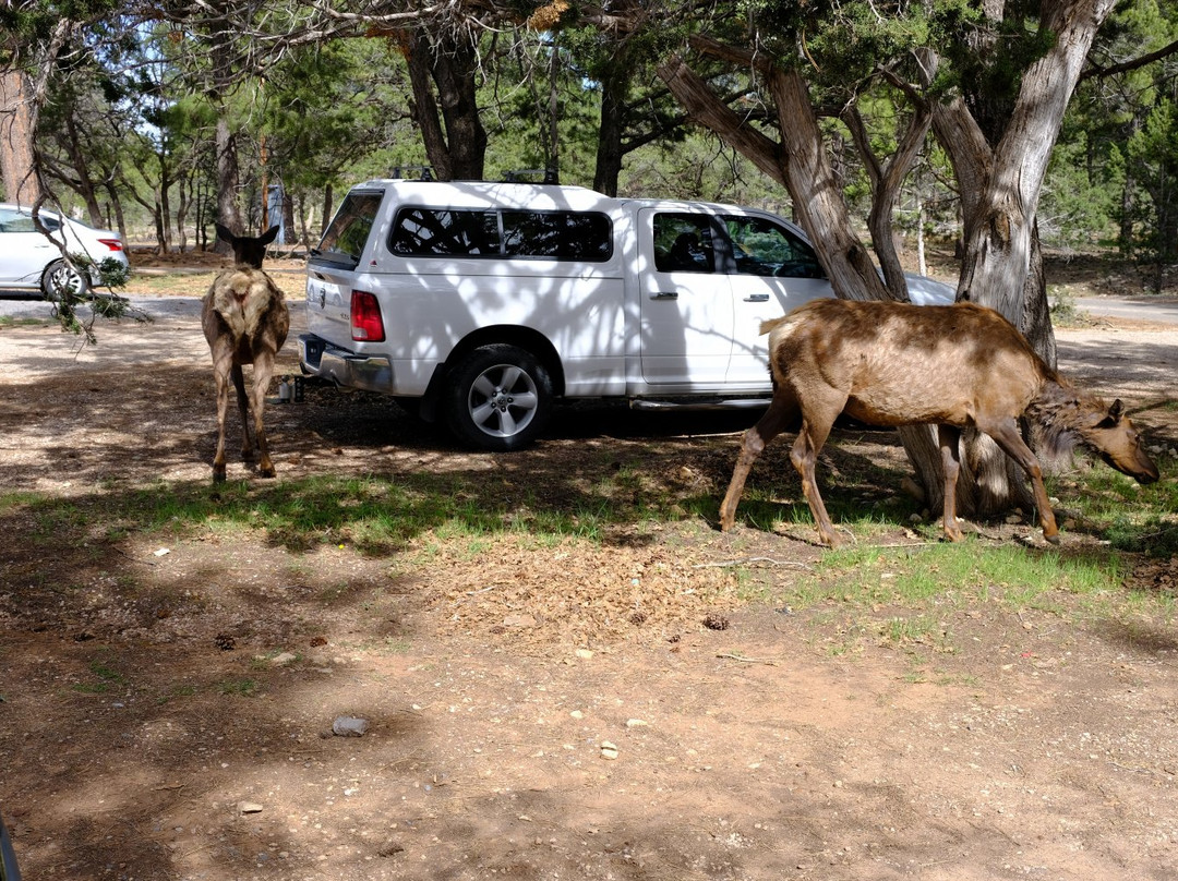 Trailer Village RV Park主图