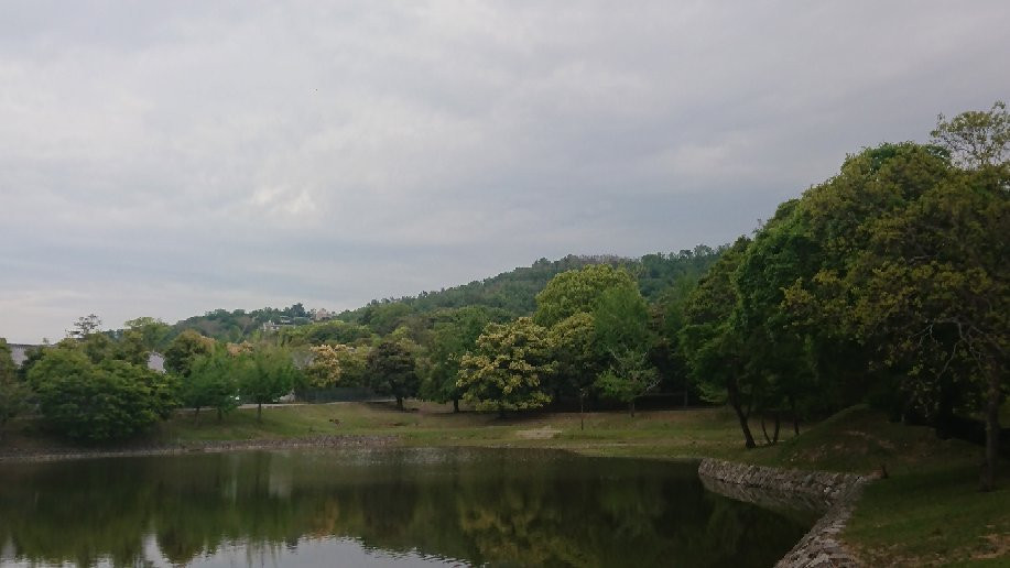 Daibutsu Pond景点图片