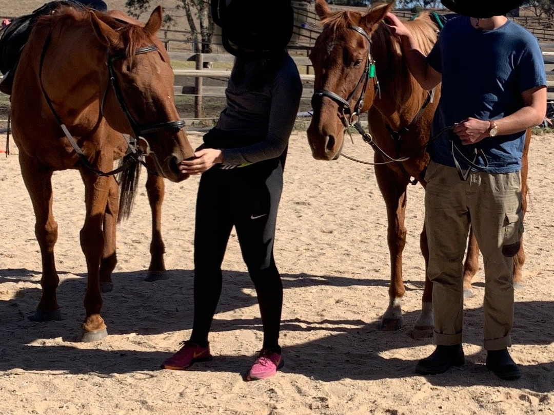 Kirby Park - Megan Jones Riding School景点图片