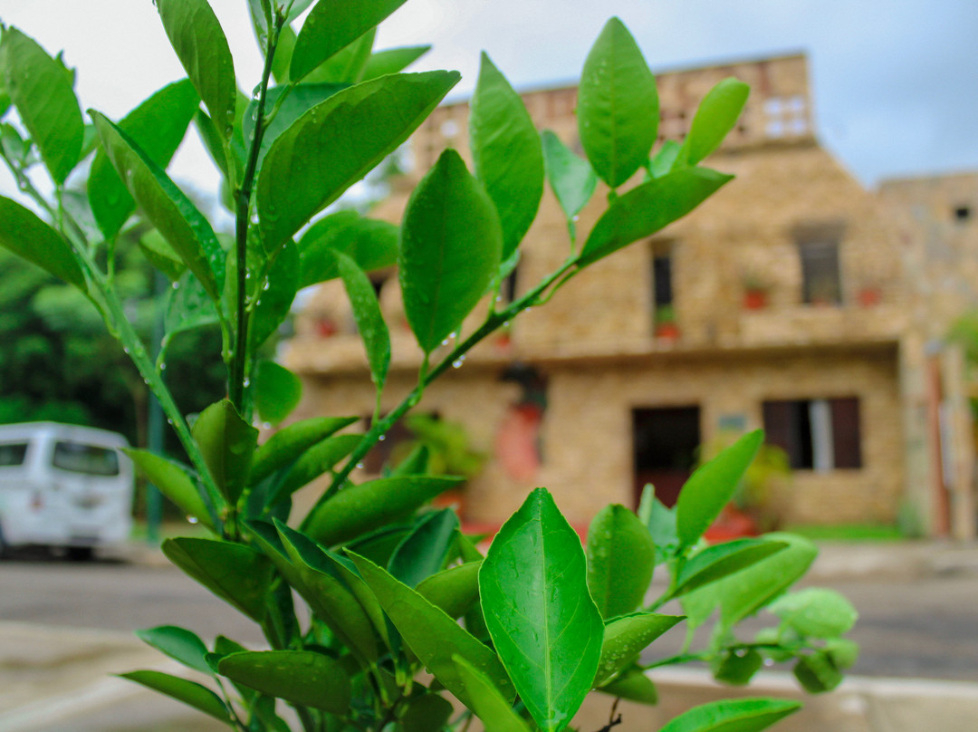 Temazcal NA-HÁ MAYA Huatulco-Crucecita必去景点