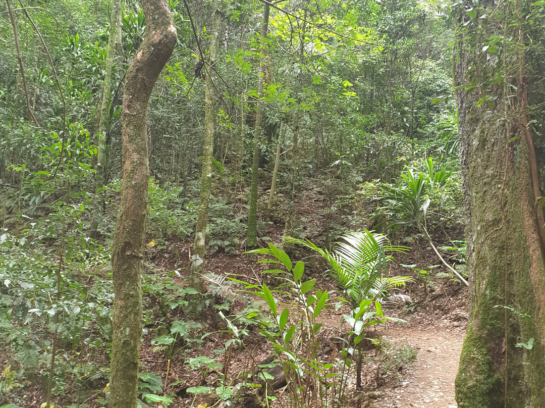 Cunningham's Gap-Tregony必去景点