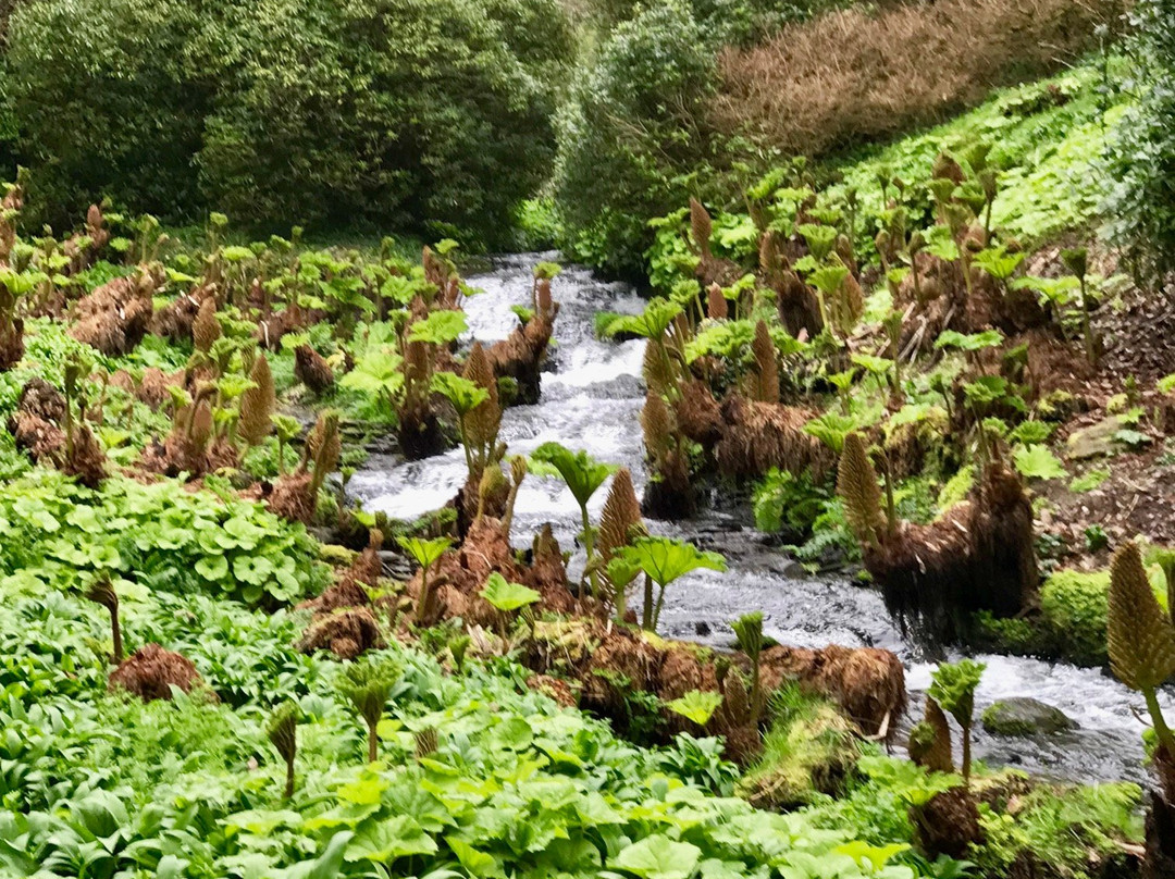 Hotel Endsleigh主图