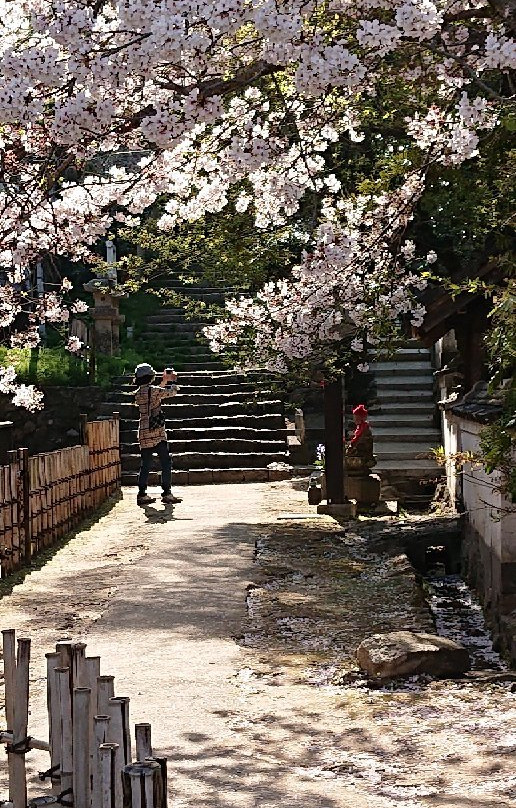 Kozanji Temple-下关市必去景点