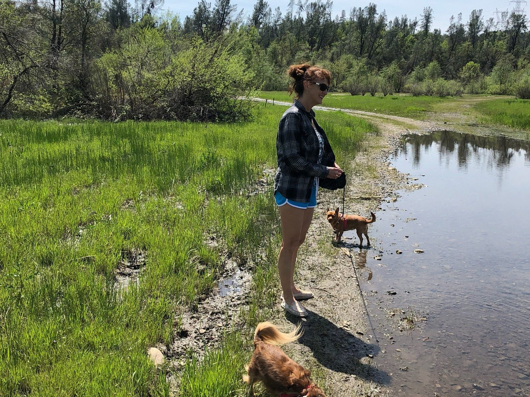 Clear Creek-雷丁必去景点