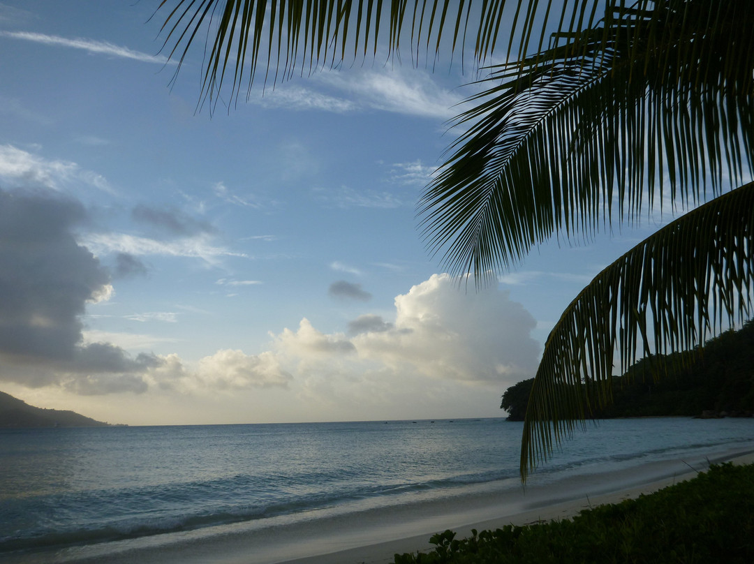 Sainte-Anne Resort & Spa主图