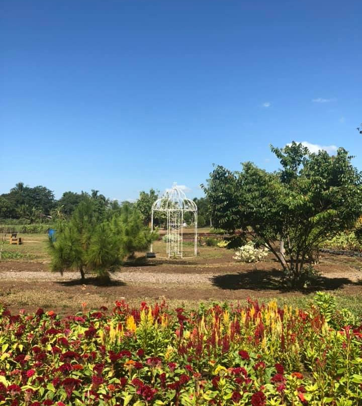 Sonrisa Farm景点图片