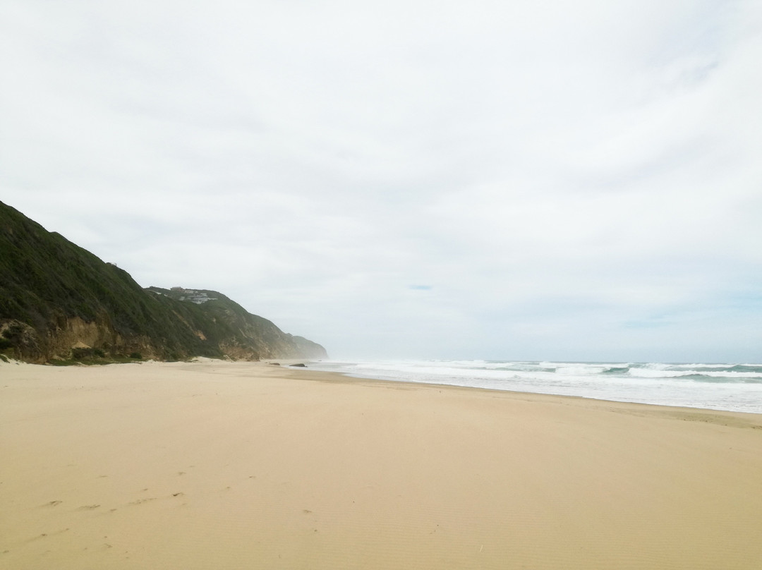 Cola Beach-Sedgefield必去景点