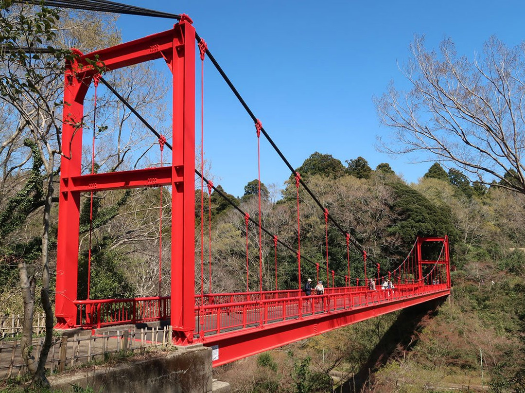 Izumi Nature Park Natural Boadwalk-千叶市必去景点