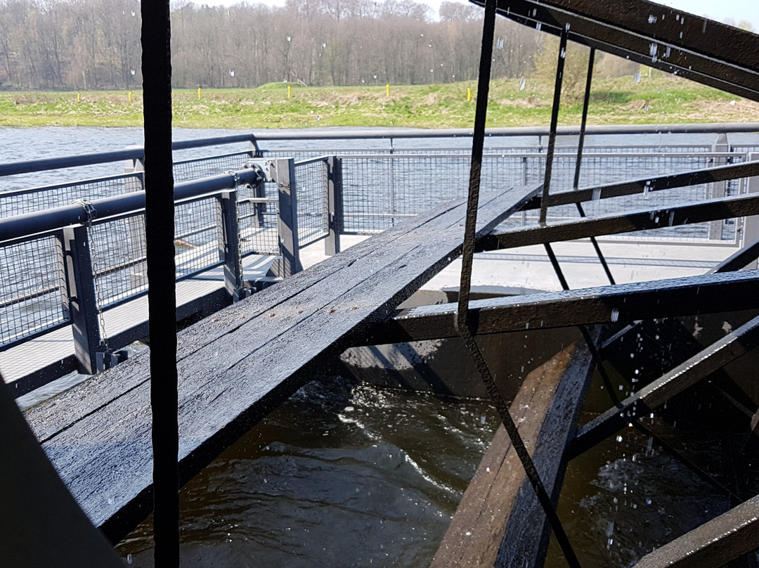 Technische Schauanlage "Schiffmühle"景点图片