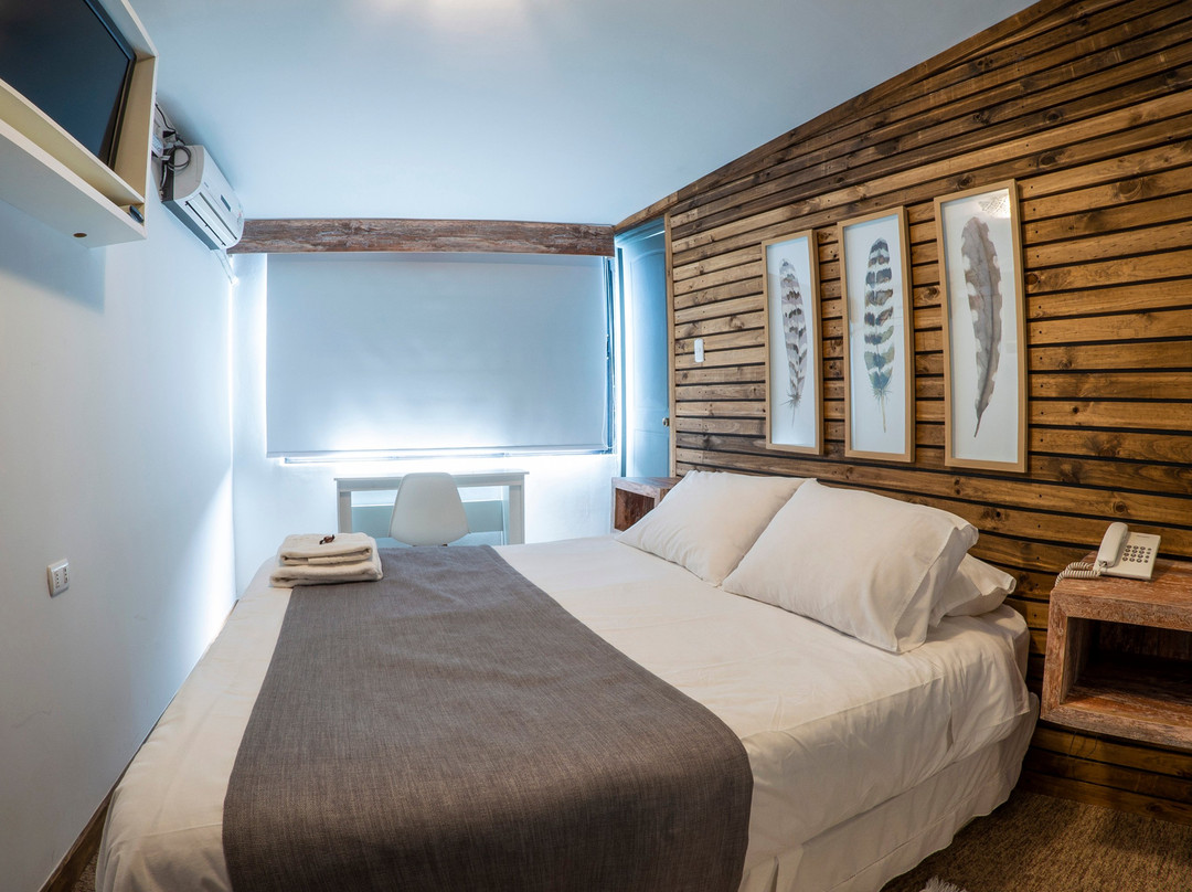 Hotel Etnico Bio Bio主图