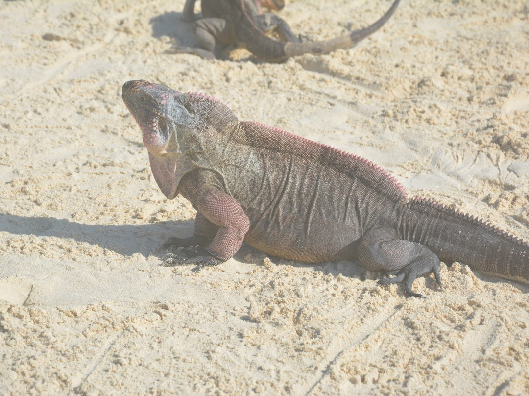 Breezy Hill Exuma Bahamas主图