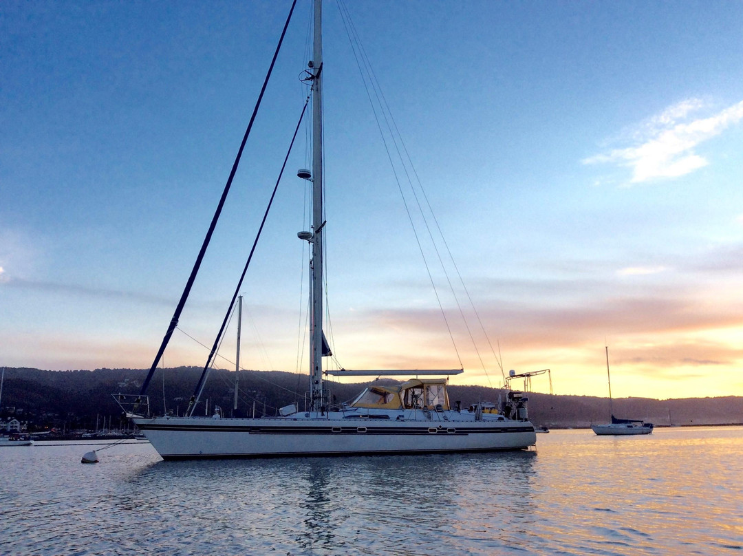 Charlestons Best Sailing Adventures-查尔斯顿必去景点