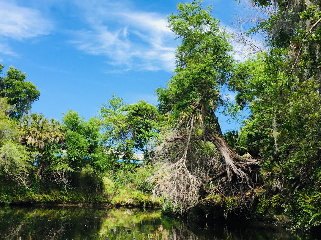 Ray's Canoe Hideaway-布雷登顿必去景点