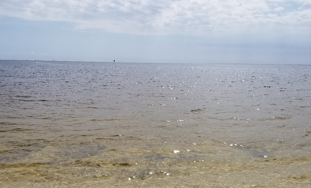 Shell Point Beach-Crawfordville必去景点