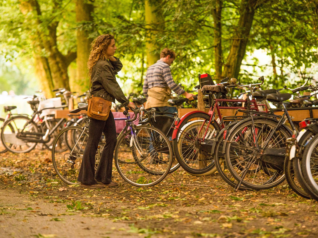 Amsterdamse Bostheater景点图片