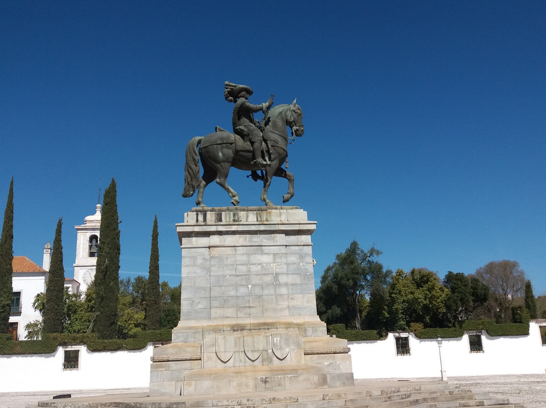 Estatua Equestre de D. Joao IV景点图片