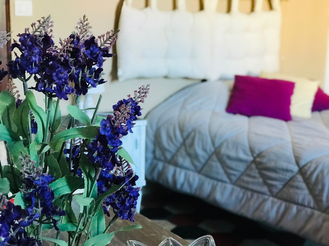 Affittacamere da Vitto主图